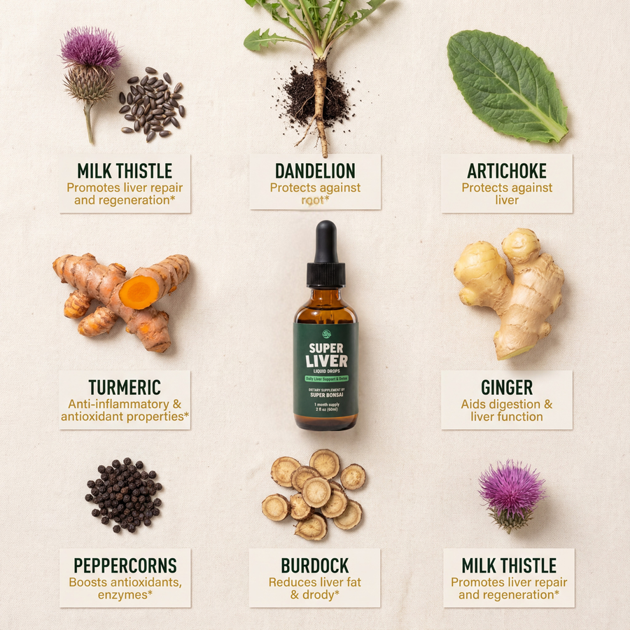 Super Liver Liquid Drops – Daily Liver Support & Detox